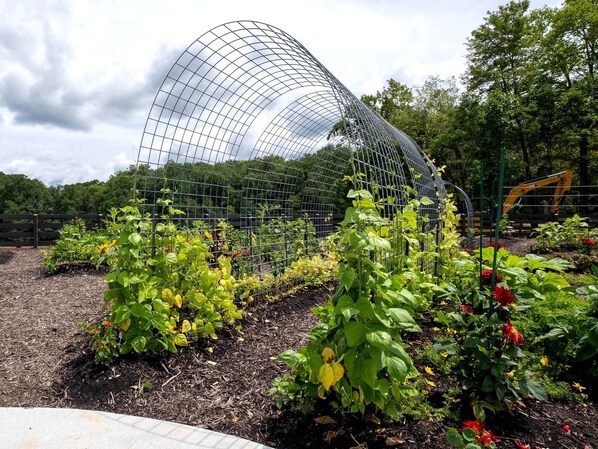 Un jardin doté d’une structure en treillis métallique, de différentes plantes et, au fond, d’un engin de chantier.