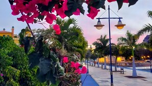 A street with a blue pathway, a street lamp, and pink flowers. - Vacation Studio 'Caracola' with Mountain View, Wi-Fi and Air Conditioning (Puerto de Mogán)