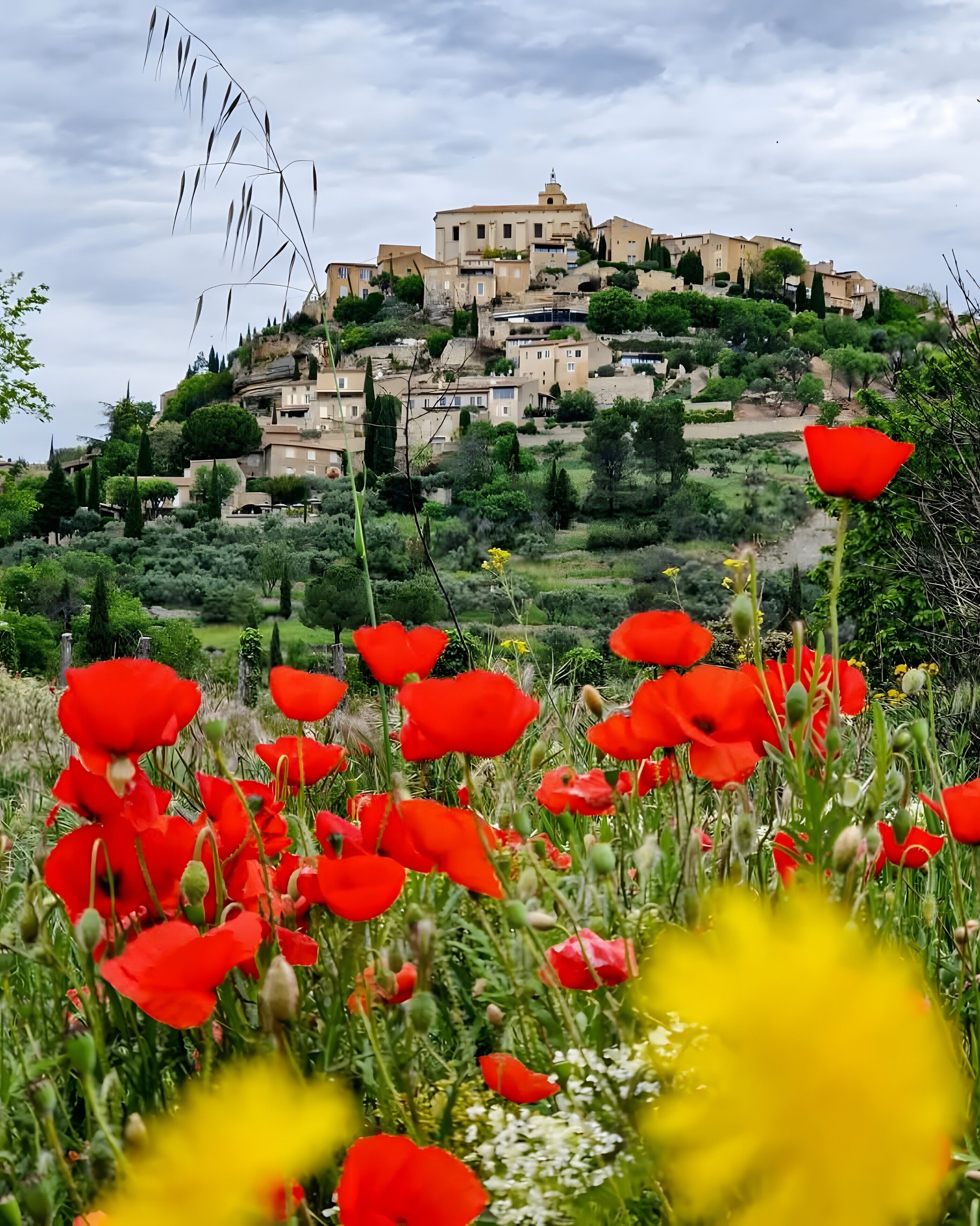 Un village perché sur une colline, doté d’une architecture traditionnelle, d’une végétation luxuriante et, au premier plan, de coquelicots rouges.