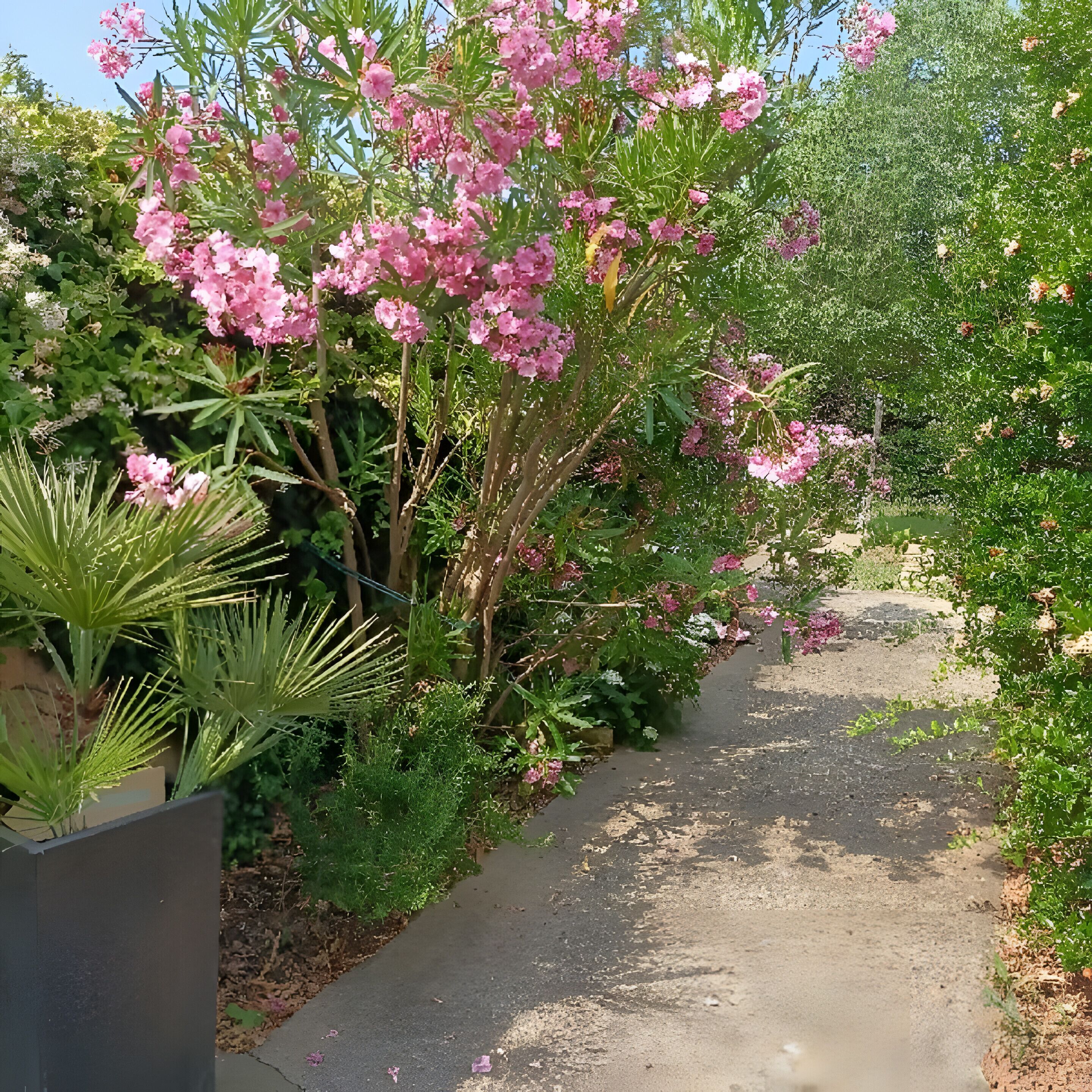 Áreas de la propiedad