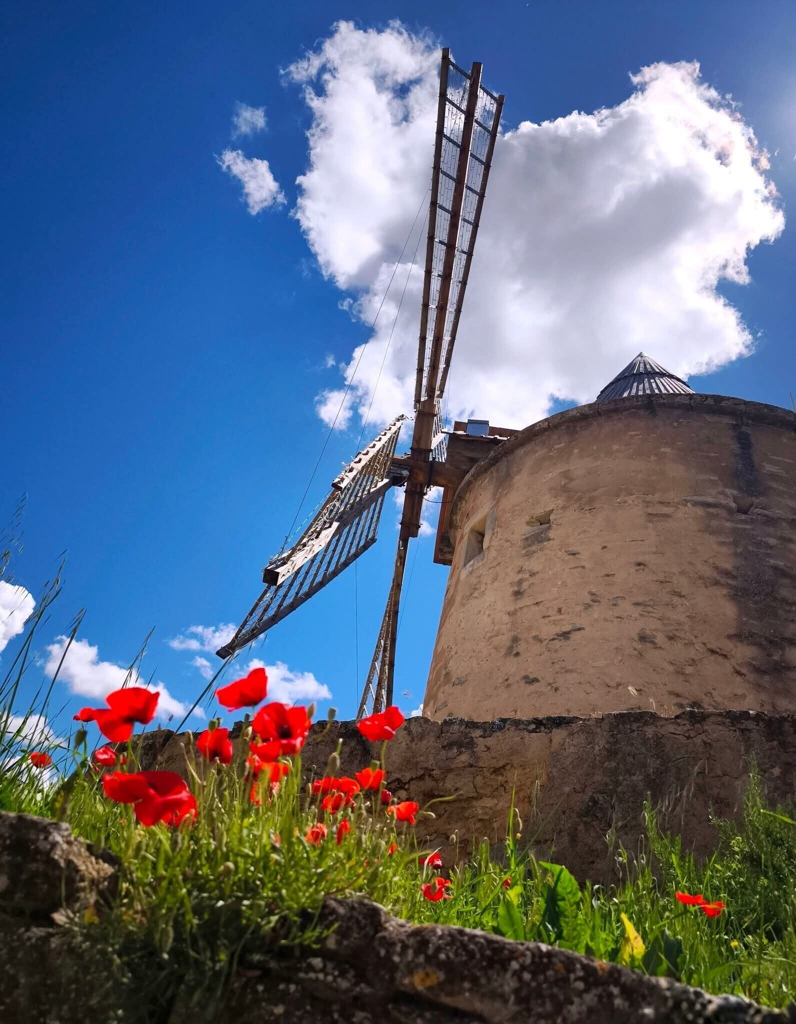 Un moulin à vent doté d’une base cylindrique et d’un toit conique, entouré de coquelicots rouges et d’herbe.