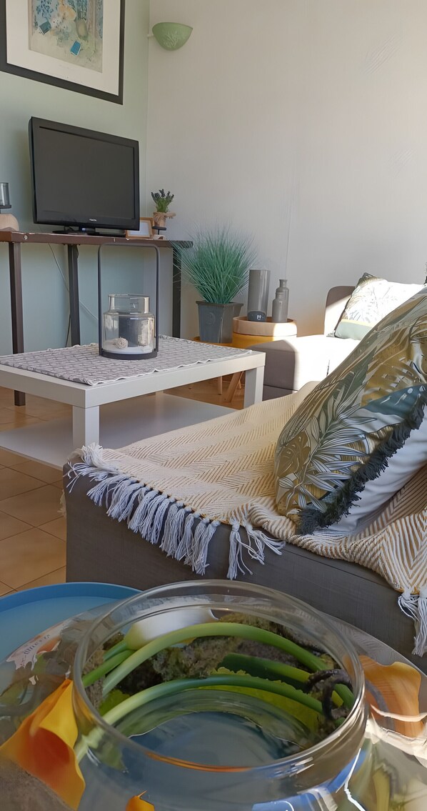 Una televisión, una mesa de tenis de mesa