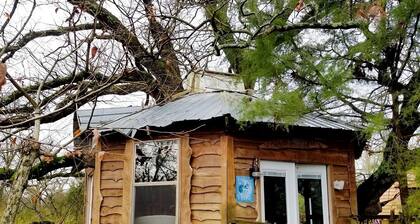 Tree House Rental with Private Pool in Celeste, for Glamping Adventures in Texas