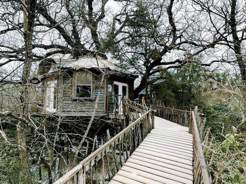 Tree House Rental with Private Pool in Celeste, for Glamping Adventures in Texas