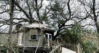 Tree House Rental with Private Pool in Celeste, for Glamping Adventures in Texas
