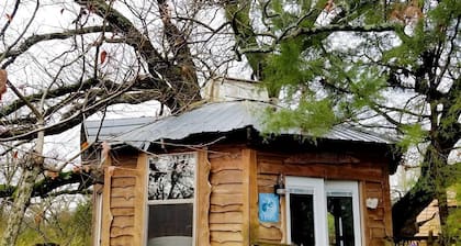 Tree House Rental with Private Pool in Celeste, for Glamping Adventures in Texas