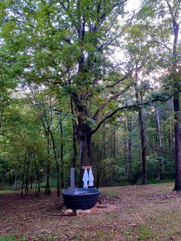 A large tree with a circular structure at its base, surrounded by a forest.