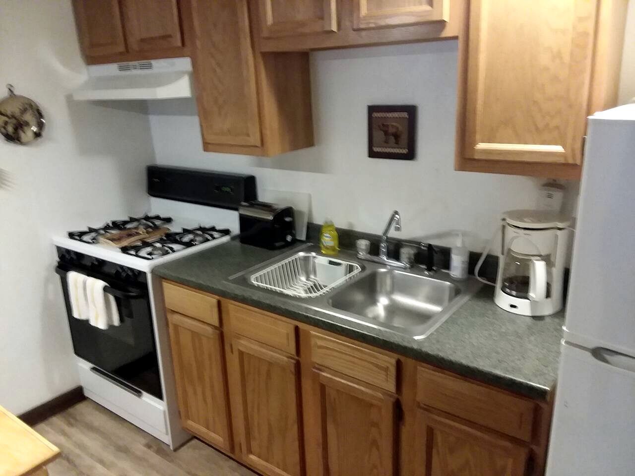 Coffee/tea maker, fridge, microwave, oven