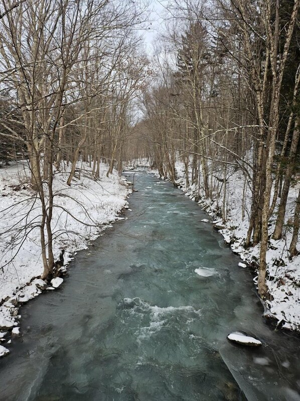 Een met sneeuw bedekte rivier, langs twee kanten omzoomd door kale bomen.