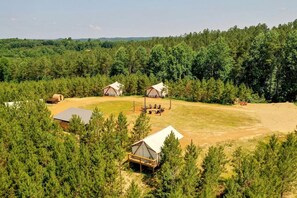 Een camping met meerdere tenten en huisjes, omgeven door dicht bos.