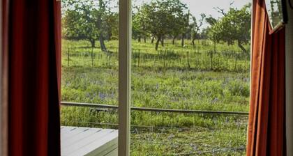 Wonderful Secluded Container in Fredericksburg, Texas