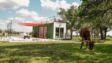 A small building with a green exterior and a red door, surrounded by grass and trees.