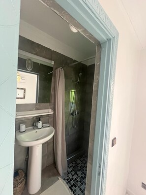 Shower, jetted tub, hair dryer, bidet