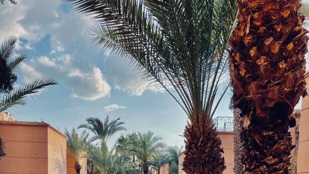 A pool area with palm trees, lounge chairs, and a clear sky. - 3-bedroom riad in amazing Marrakesh with fitness room, AC for family & friends (Marrakesh)