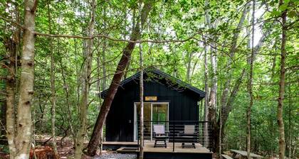 Pisgah Forest Retreat: Cozy Cabin Blending Comfort and Luxury for Glampers, NC