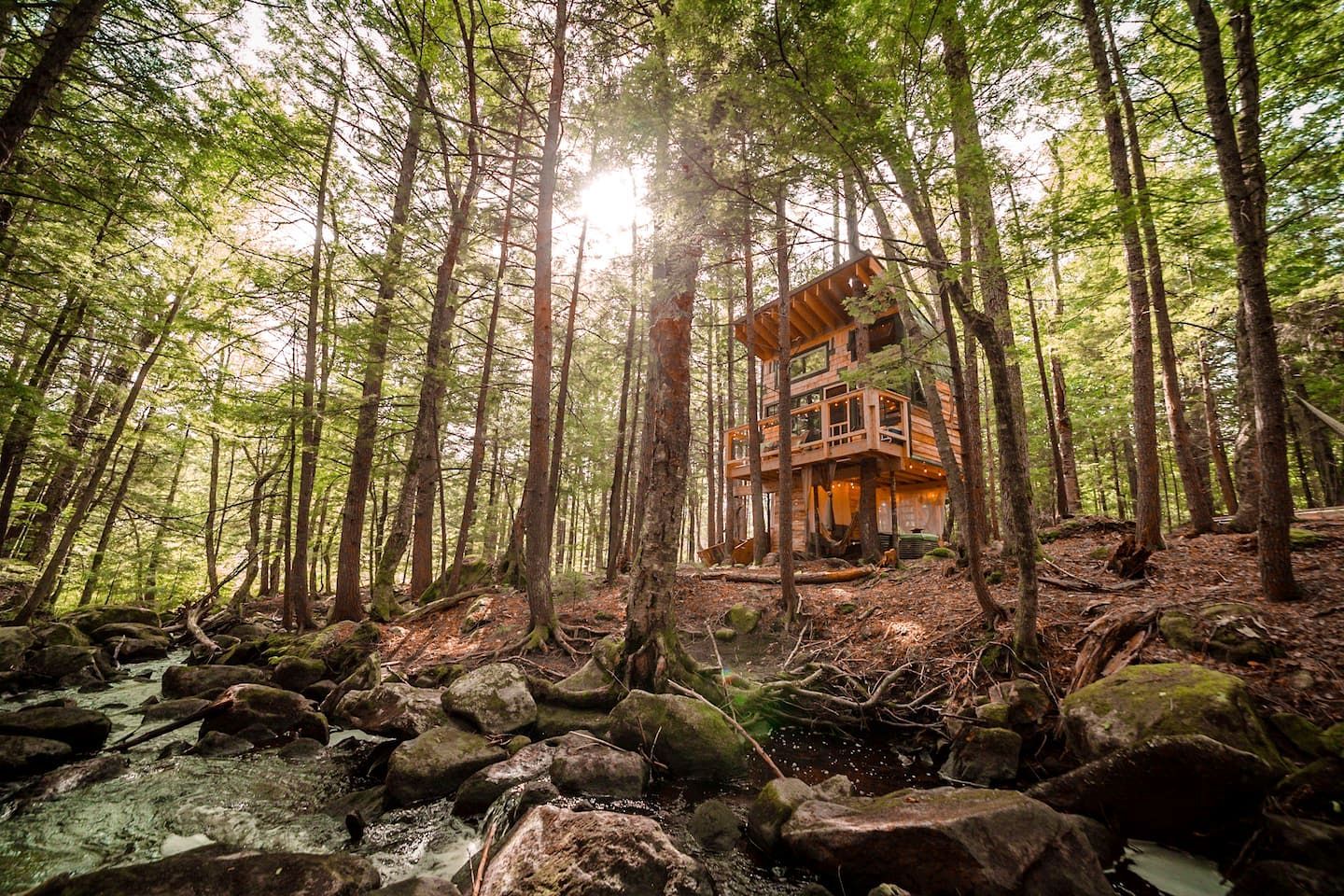 A treehouse cabin in a forest with a stream and rocks.