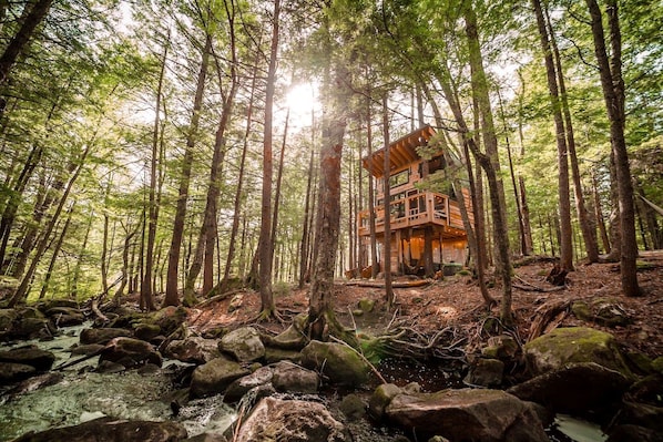 Ein Baumhaus in einem Wald mit einem Bach und Felsen.