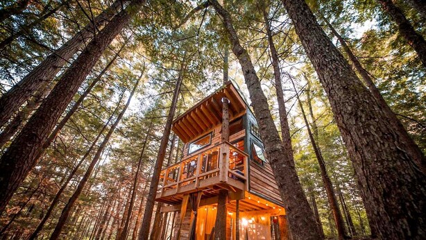 A wooden cabin in a forest with multiple levels and large windows.