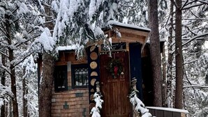 A wooden cabin with a staircase leading to a door, surrounded by snow-covered trees.