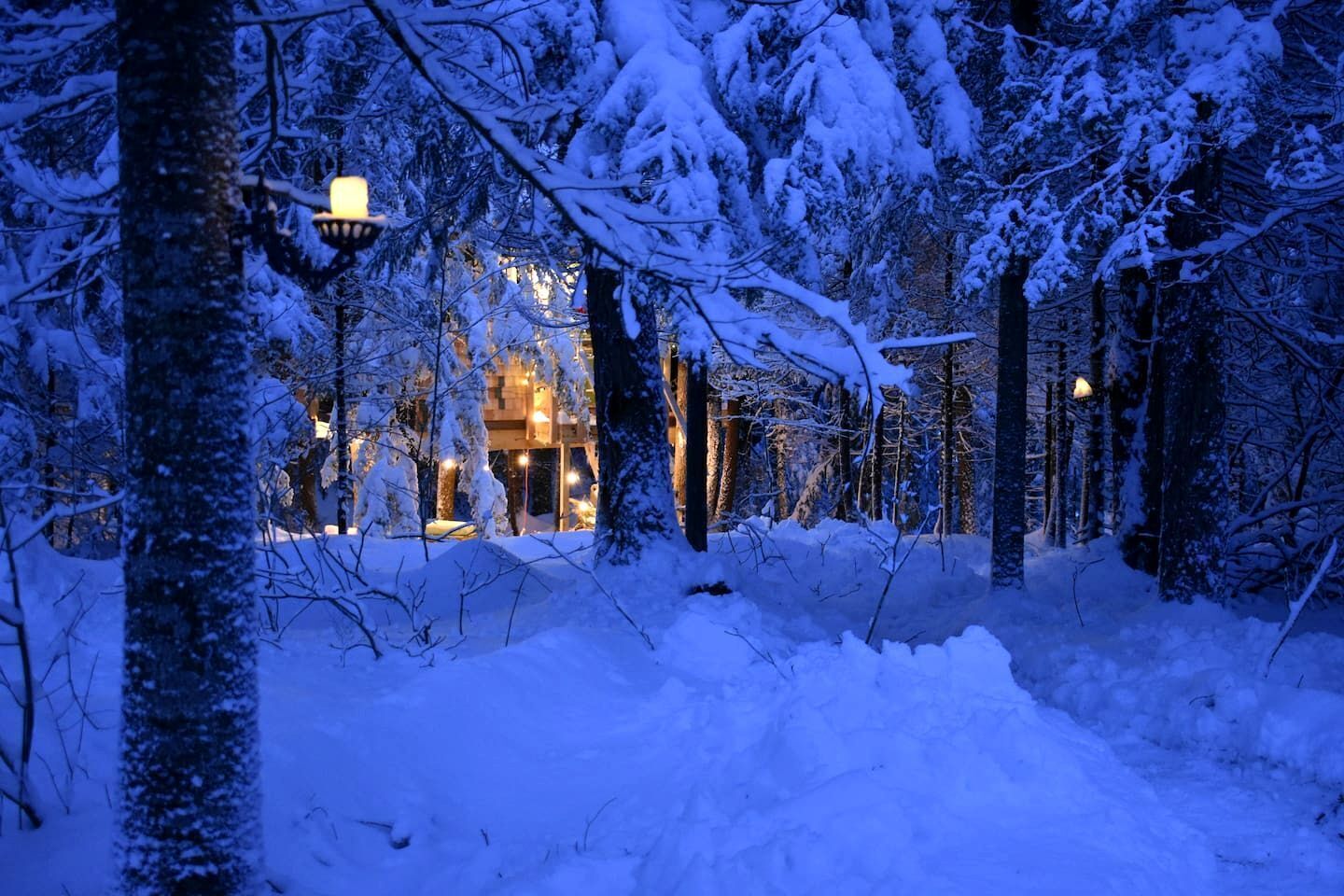 Boendeområde