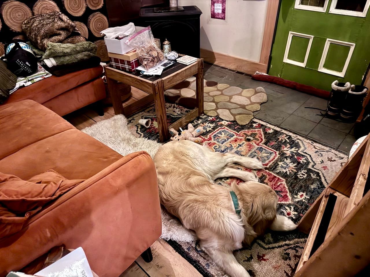 Un chien est allongé sur un tapis dans une pièce où se trouvent un canapé, une petite table et une porte verte.
