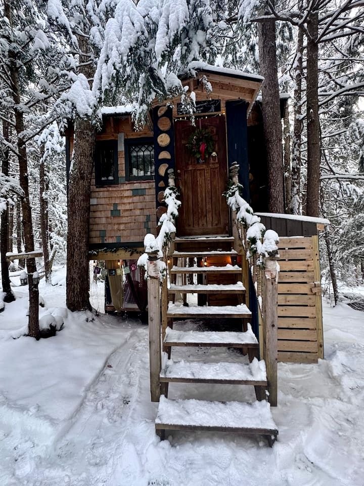 Une cabane en bois avec un escalier menant à une porte, entourée d’arbres couverts de neige.