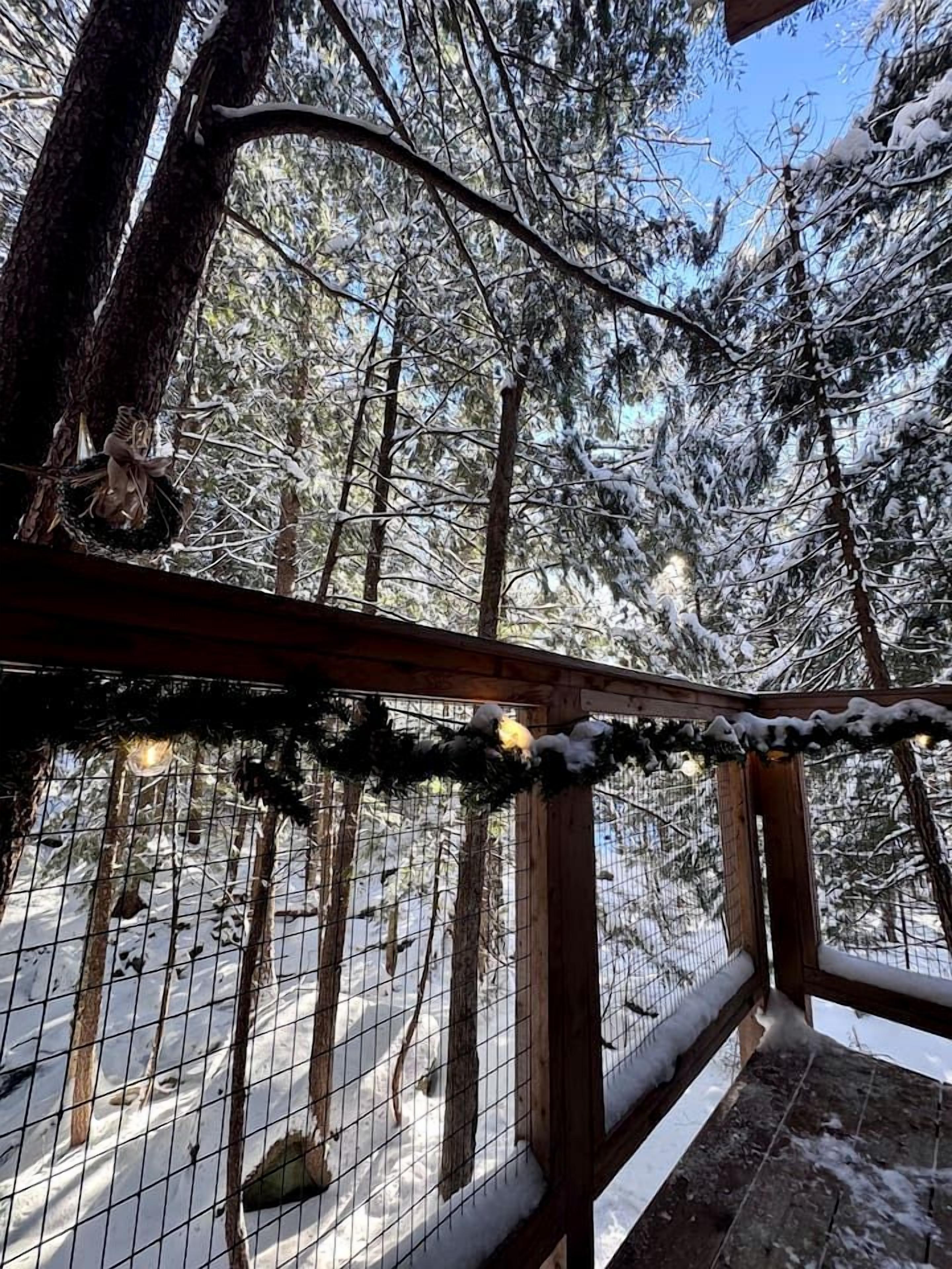 Une forêt enneigée, avec une clôture en bois et un portail en treillis métallique.