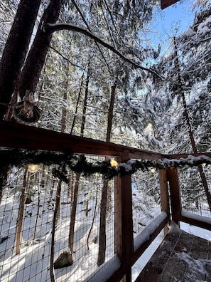 Ein verschneiter Wald mit Holzzaun und Drahtgittertor.
