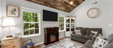 Una televisión, una chimenea, un reproductor de DVD