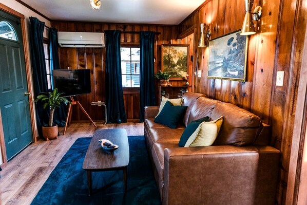 تلفزيون، مدفأة، مشغل دي في دي