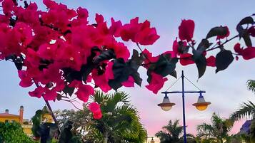 Jardines del alojamiento