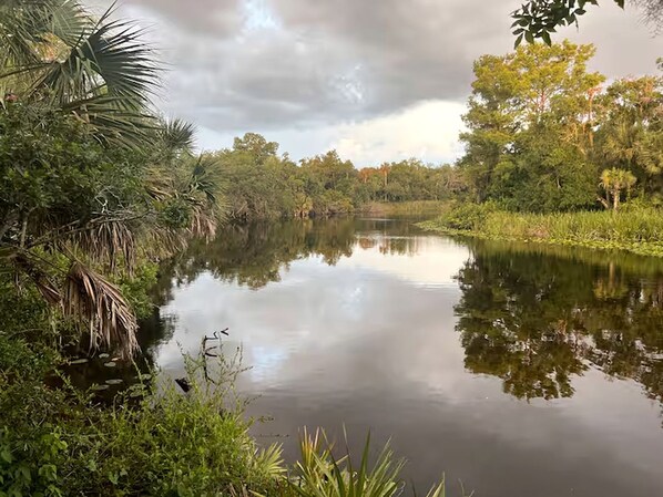 A calm river surrounded by lush greenery and trees.