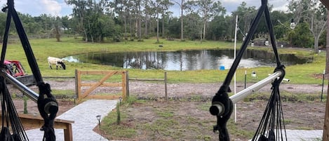 A hammock chair in a covered area with a view of a pond and a grassy field.