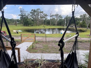 A hammock chair in a covered area with a view of a pond and a grassy field. - Off-Grid, Lakeside Tiny Home in Punta Gorda, Florida, Perfect for a Weekend Getaway (Punta Gorda)