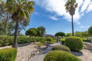 A landscaped garden with palm trees, neatly trimmed bushes, and a gravel path. - Villa Ca Na Sureda 6 guests BBQ pool Alcudia (Alcúdia)