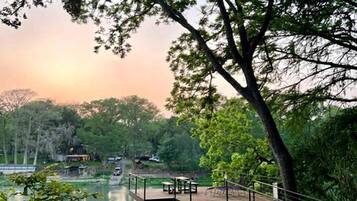 Área da propriedade