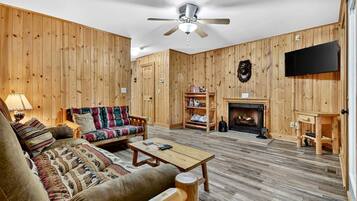 Televisión, chimenea y videojuegos