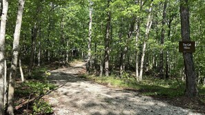 Miscellaneous - Relaxing Tiny House Surrounded by Trees for a Peaceful Escape in Nature in Mentone, Alabama (Mentone)
