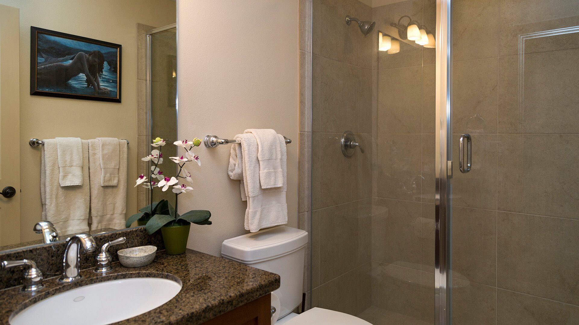 Une salle de bain avec un lavabo sur un plan de travail en granit, des toilettes, une douche en verre et une orchidée en pot.