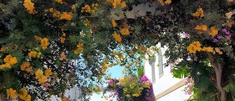 Overnatningsstedets område