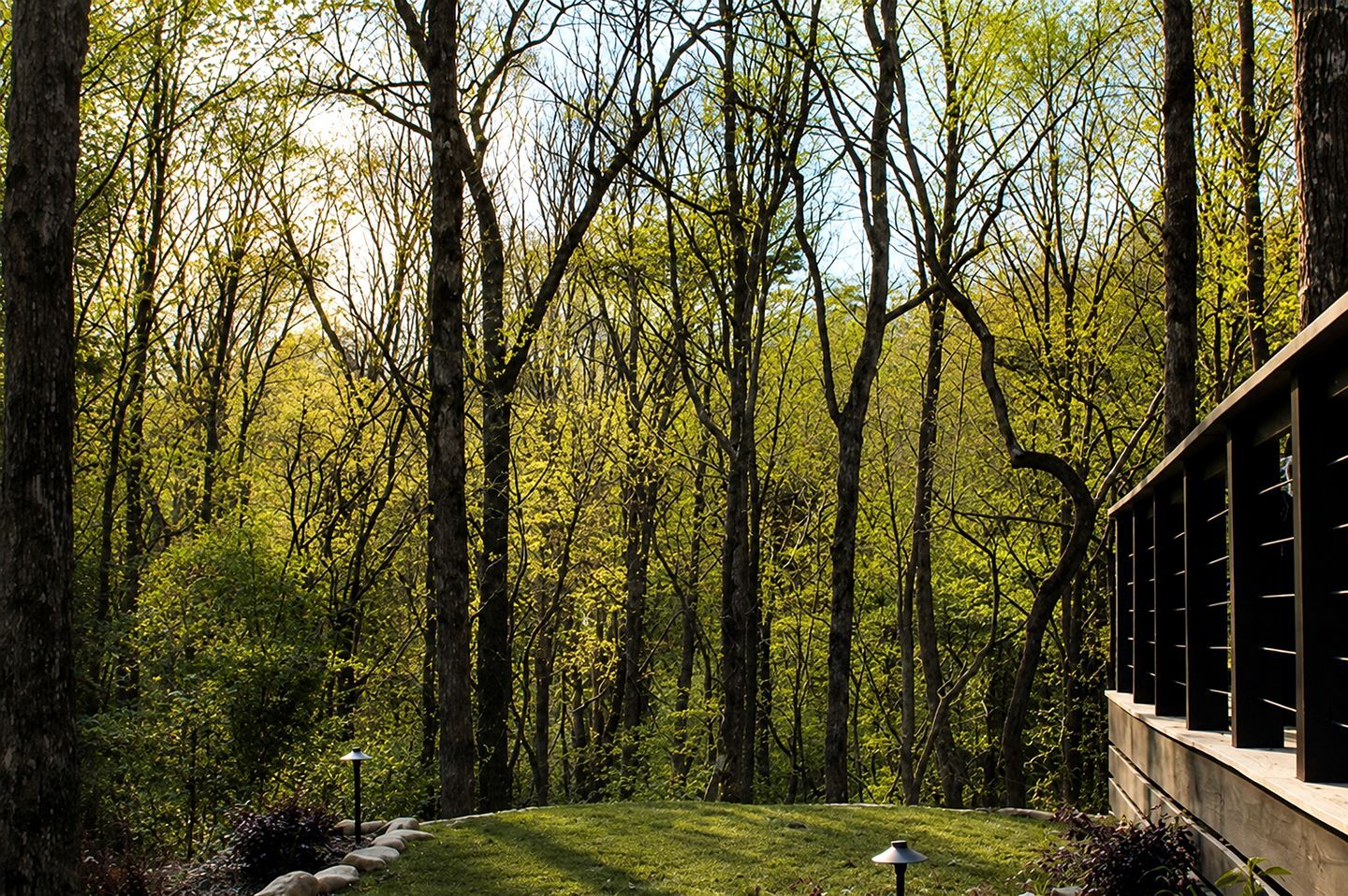 A forested area with a pathway leading to a building with a modern design.