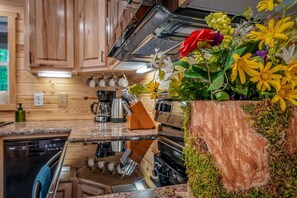 Private kitchen - Peaceful Secluded Cabin with Hot Tub and Fantastic Views of the Surrounding Woods in Mentone, Alabama (Mentone)
