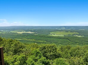 Laaja panoraamanäkymä metsäisestä maisemasta, jonka yllä on kirkas taivas.