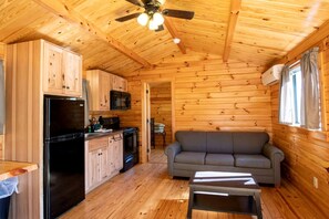 Living area - Cozy Cabin with Hot Tub and Beautiful Views of Cool Springs Lake for an Unforgettable Experience in Virginia (Spotsylvania)