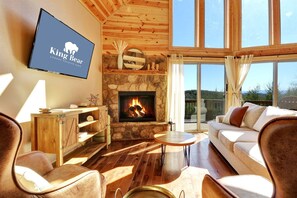 TV, fireplace, stereo - King Bear Cabin - Sensational near Blue Ridge, Turtletown, TN (Turtletown)