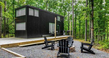 Glorious Lofted Container with Luxurious Indoor and Outdoor Spaces in Alabama