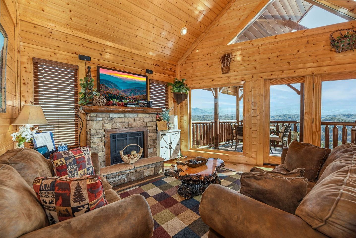 TV, fireplace, video games, DVD player