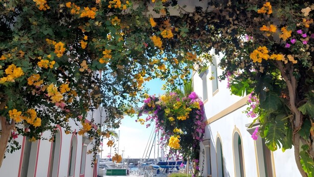 A pathway lined with flowering plants and a clear view of a marina in the background. - Vacation Studio 'Vv Ancla' with Mountain View, Wi-Fi and Air Conditioning (Puerto de Mogán)