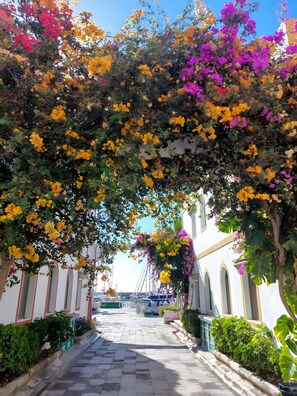 A pathway lined with flowering plants and a clear view of a marina in the background. - Vacation Studio 'Vv Ancla' with Mountain View, Wi-Fi and Air Conditioning (Puerto de Mogán)