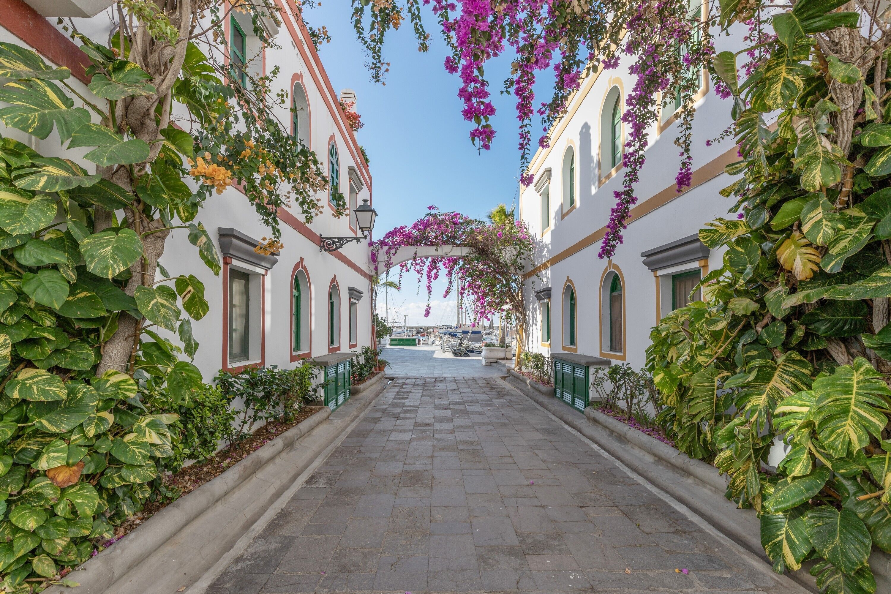 Jardines del alojamiento